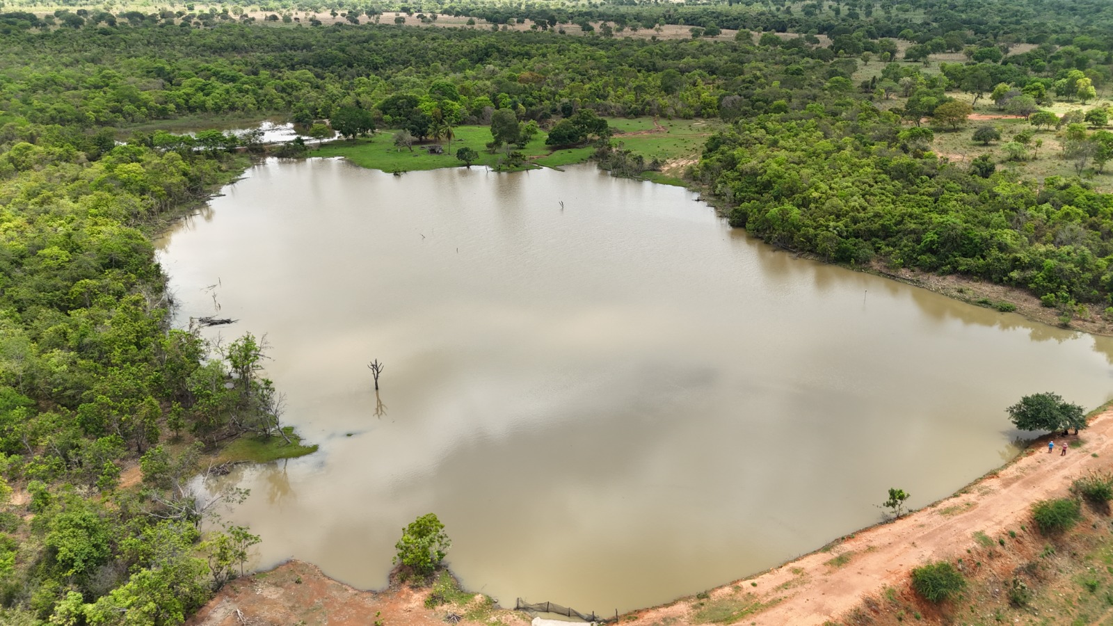 FAZENDA EM NOVA ROMA GOIÁS - 979 HECTARES