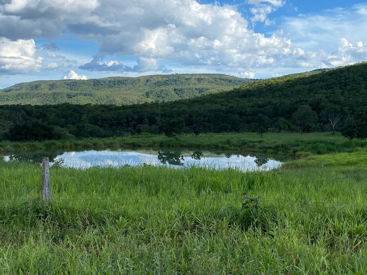 FAZENDA DE 114 HECTARES EM BURITIS MG
