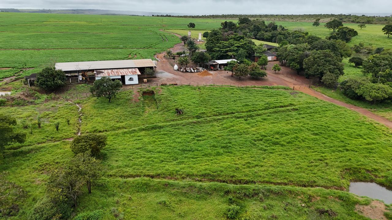 FAZENDA À VENDA EM COCALZINHO DE GOIÁS - 192,8 HECTARES