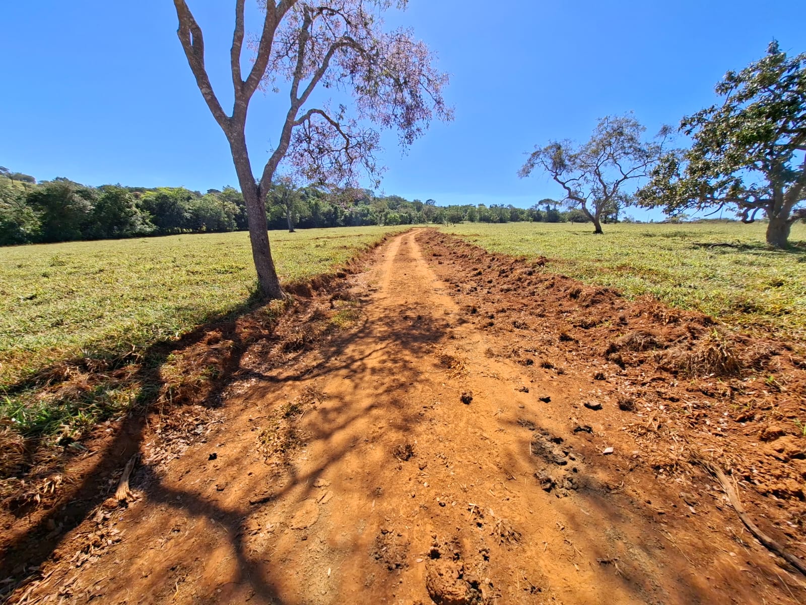 FAZENDA DE 15 ALQUEIRES À VENDA | SANTO ANTÔNIO DO DESCOBERTO - GO