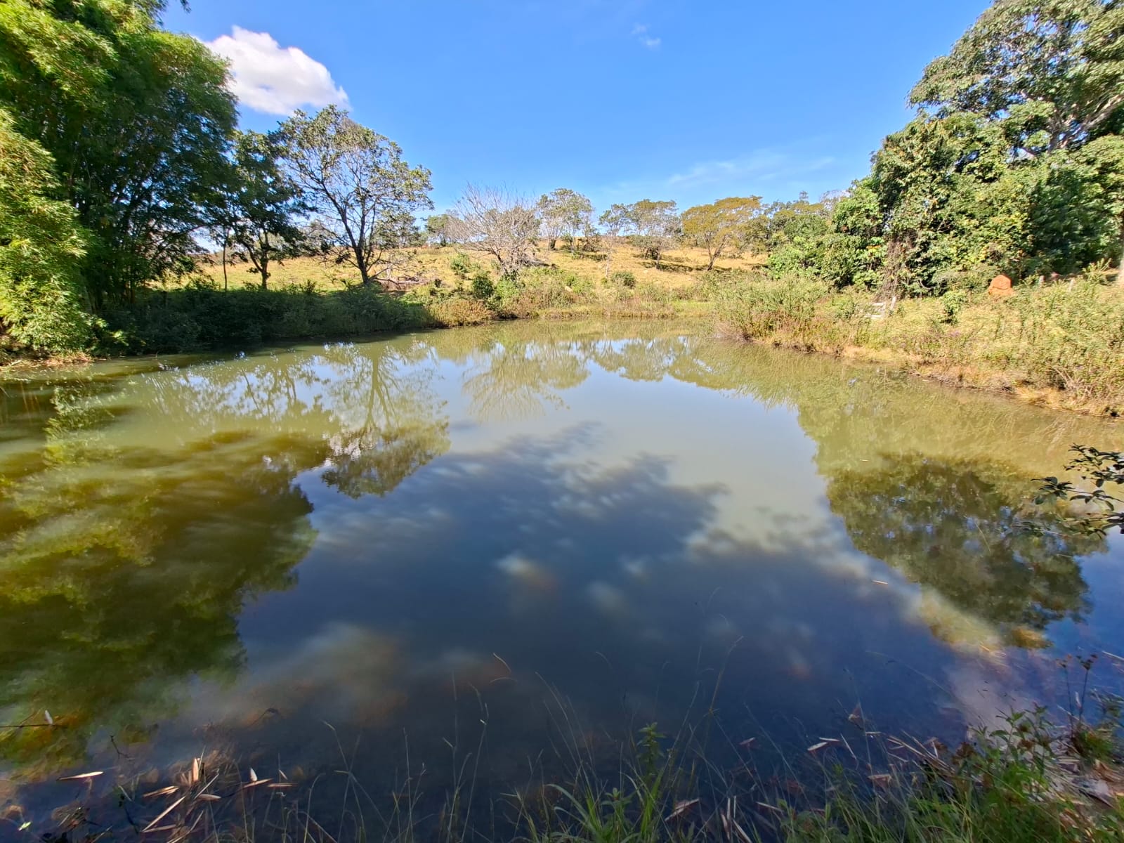 FAZENDA DE 78 ALQUEIRES À VENDA | CORUMBÁ DE GOIÁS - GO